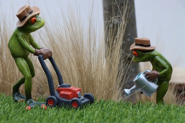 Professionelle Gartenpflege