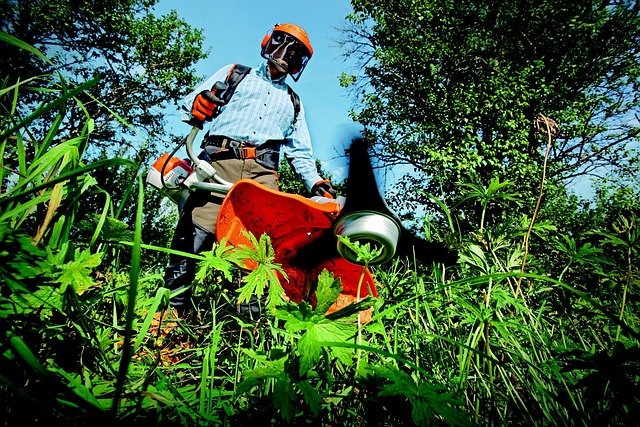 Gartenpflege Professionell